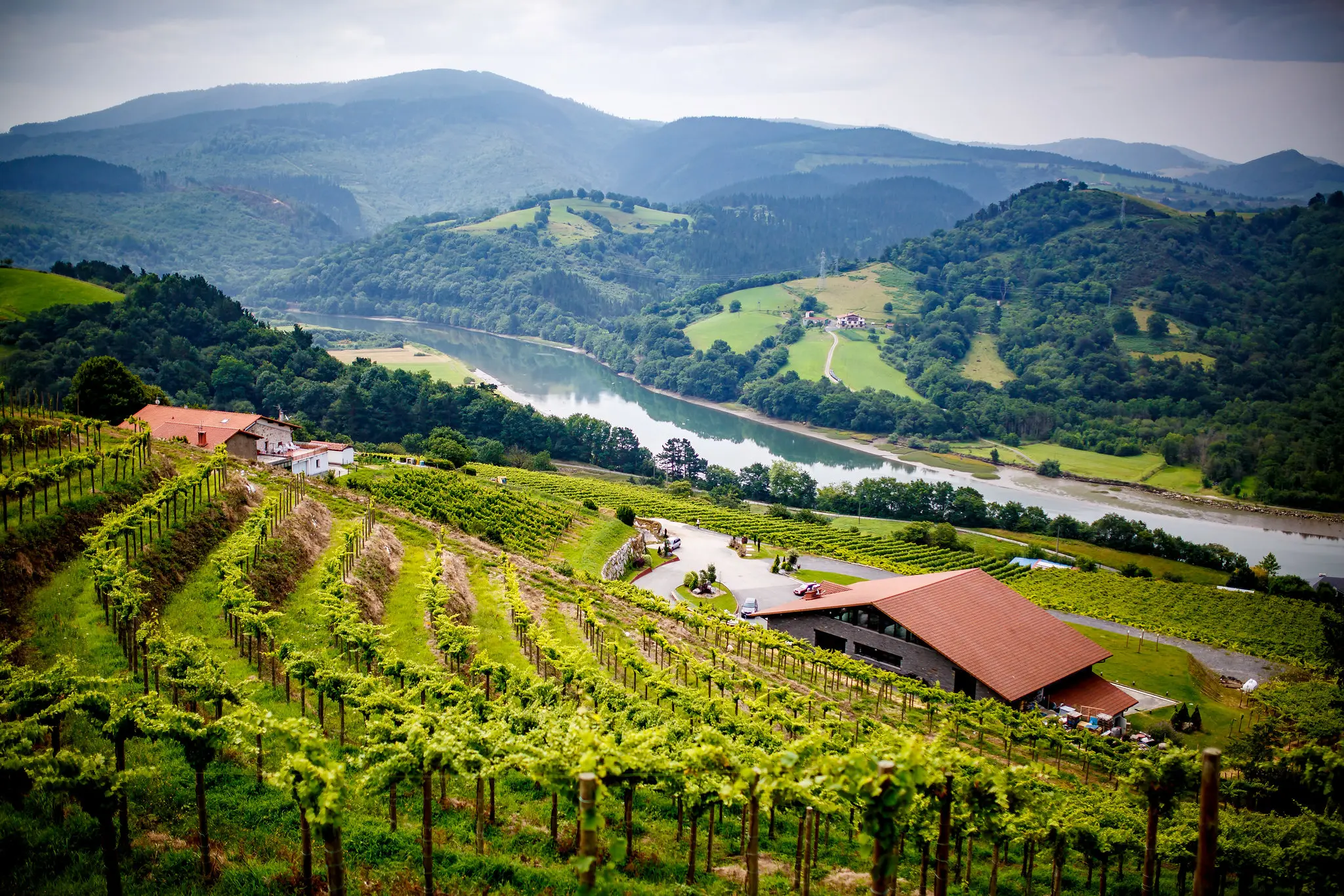Restaurante Bodega Katxiña