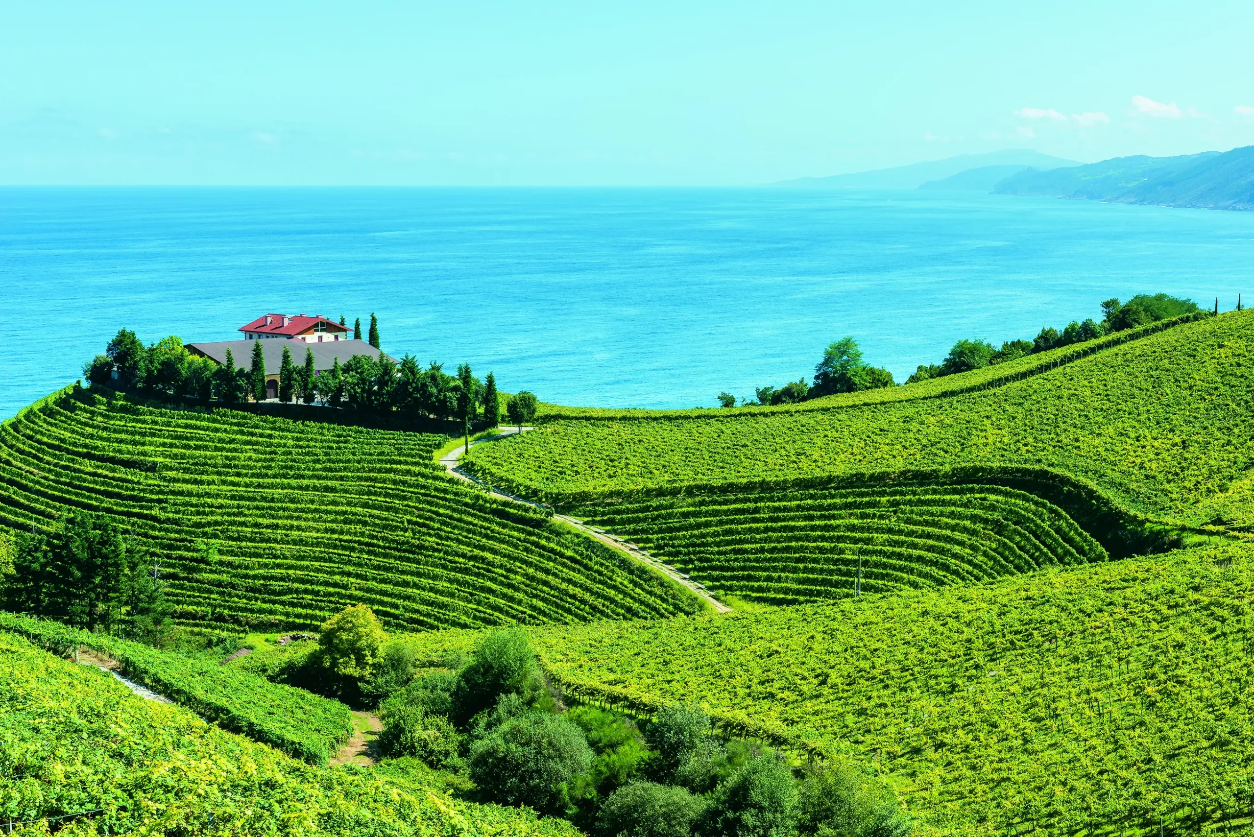 Agencia Tenedor Tours