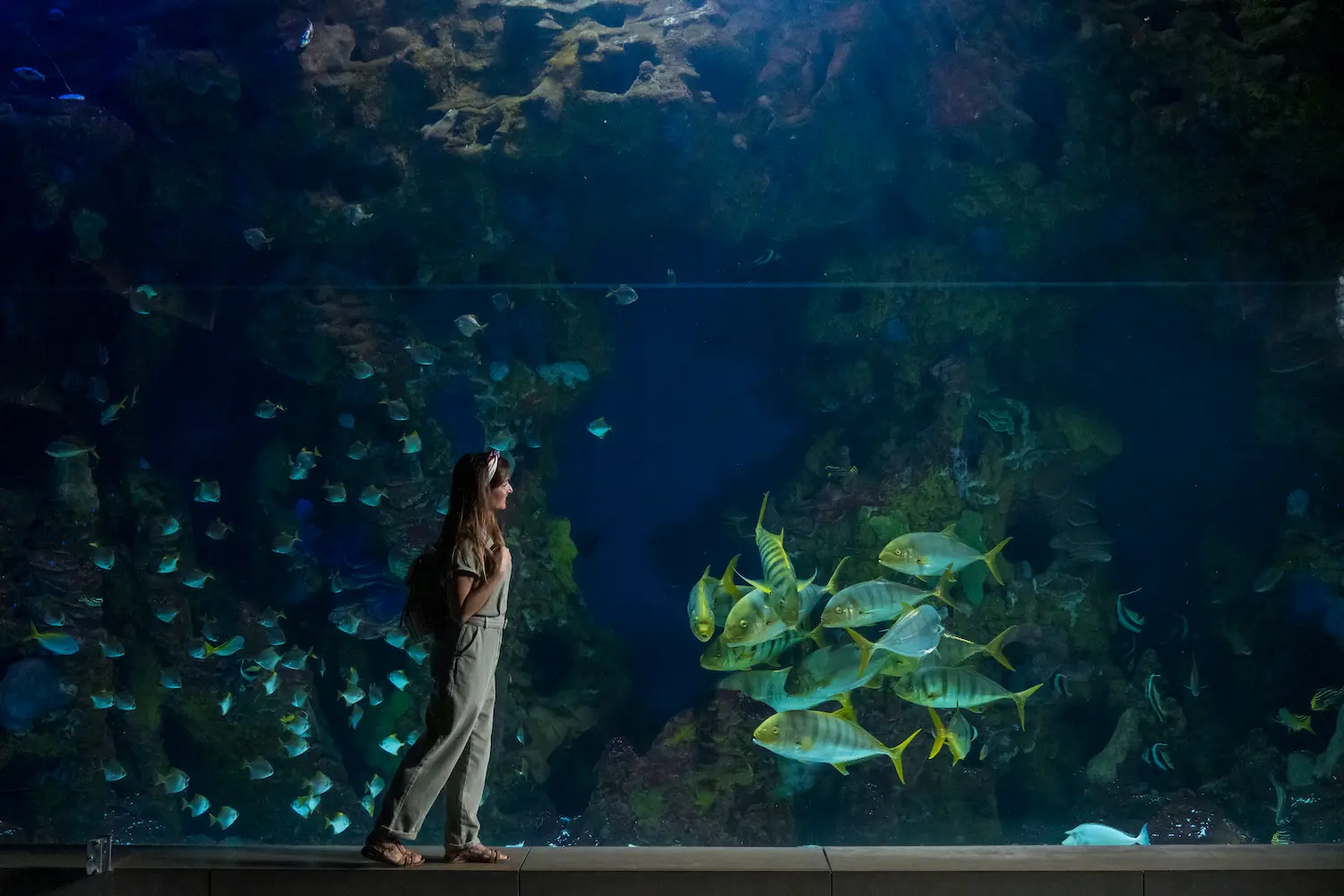 Aquarium de Donostia / San Sebastián