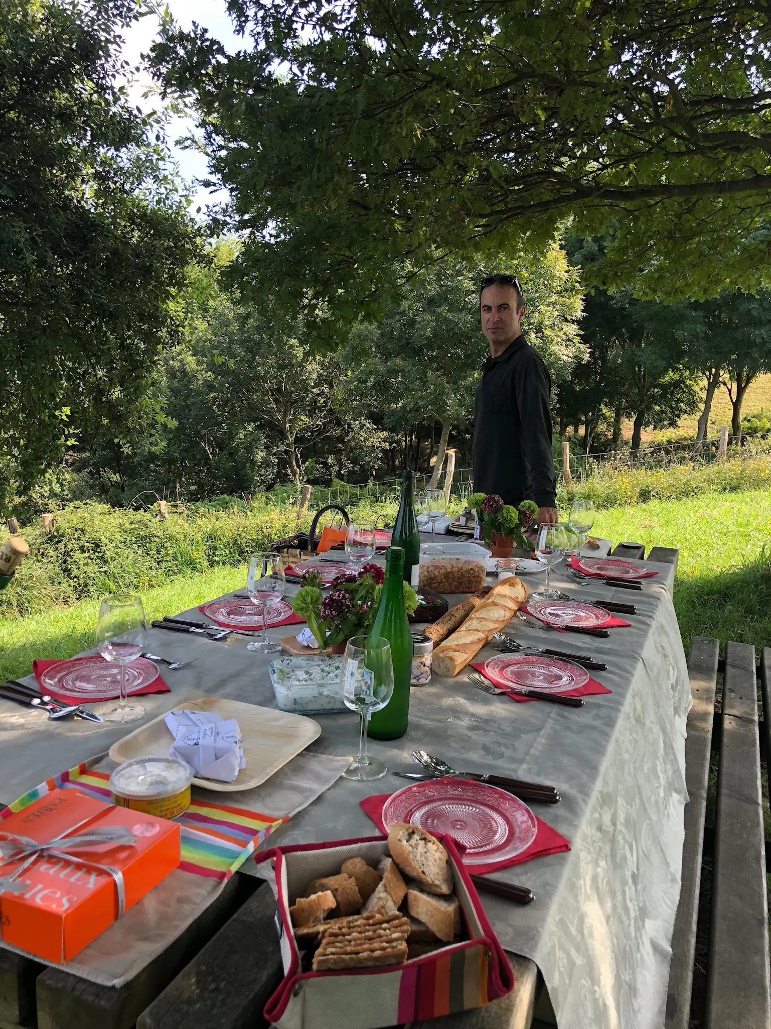 Agencia Tenedor Tours