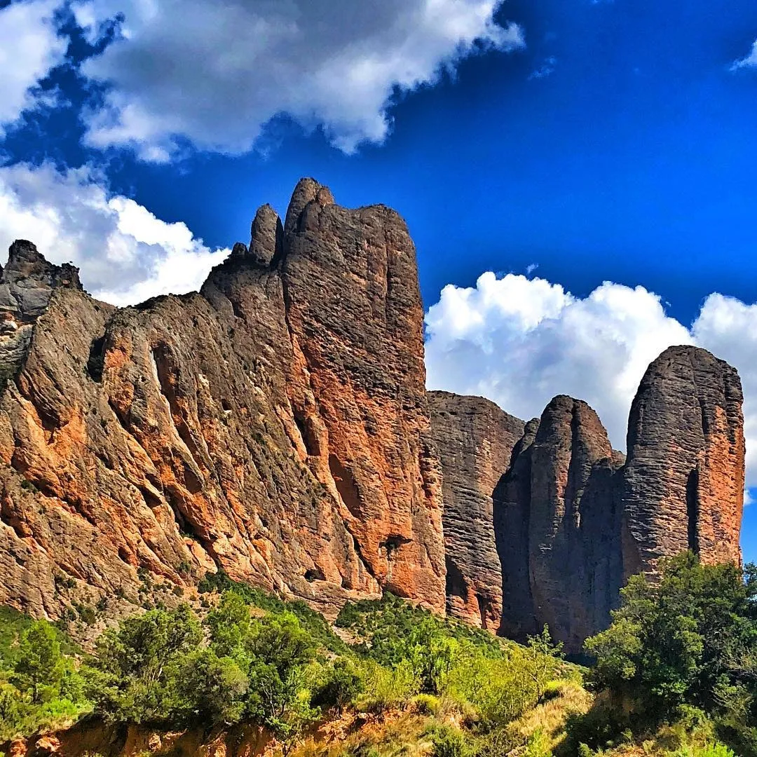 Agencia Tenedor Tours