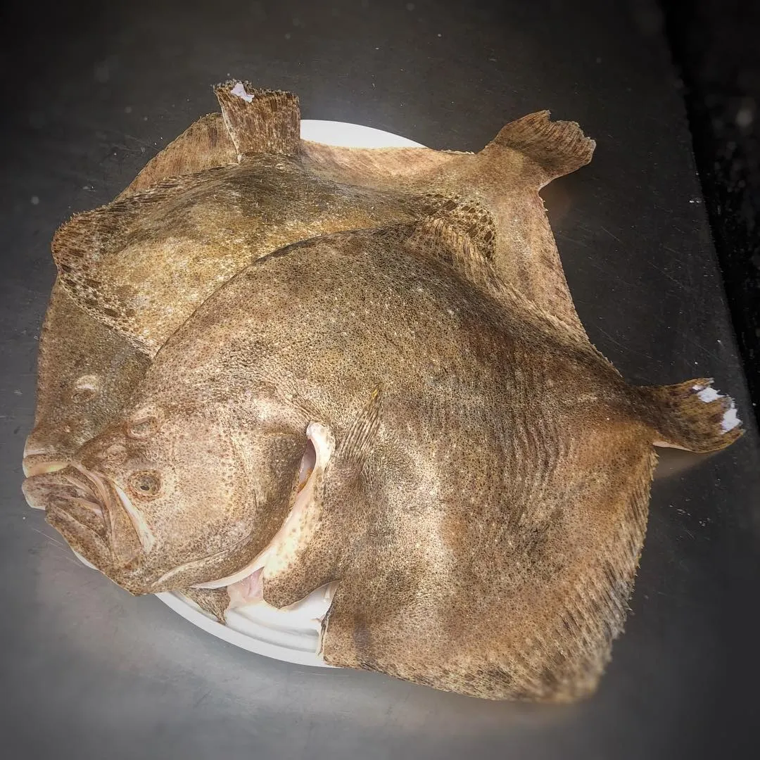 Agencia Tenedor Tours