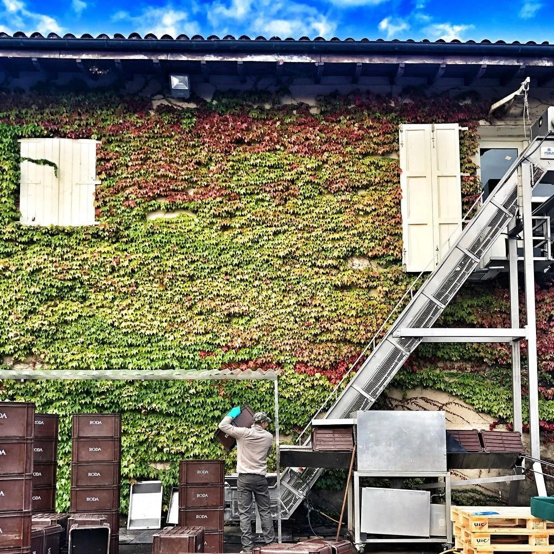 Agencia Tenedor Tours