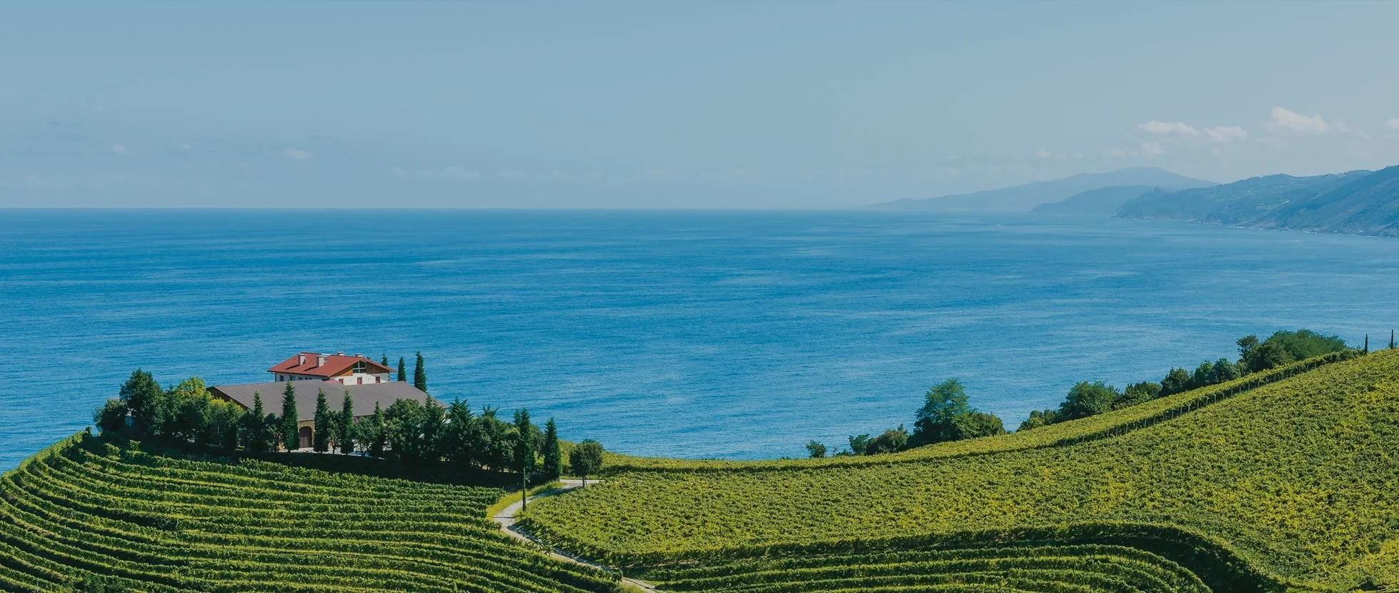 Agencia Tenedor Tours