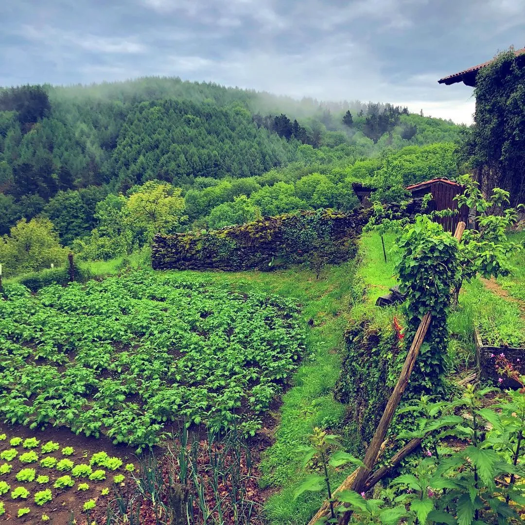 Agencia Tenedor Tours