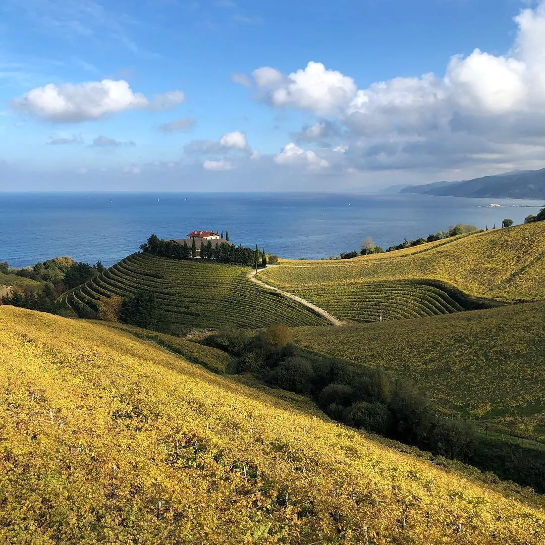 Agencia Tenedor Tours