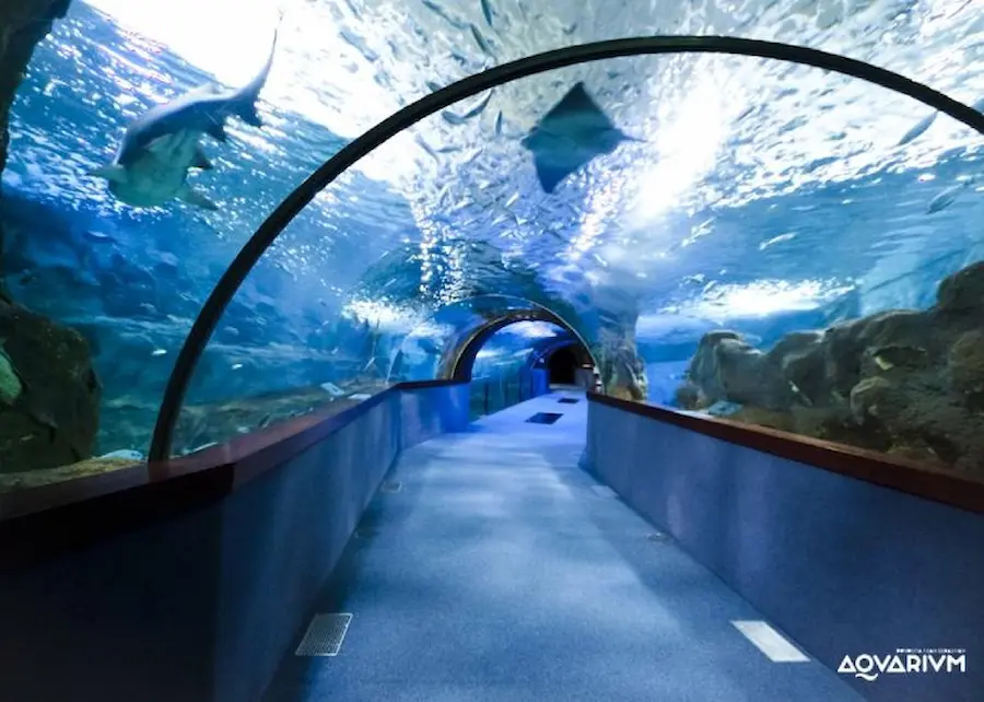 Aquarium de Donostia / San Sebastián