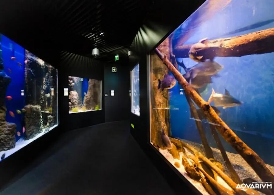 Aquarium de Donostia / San Sebastián