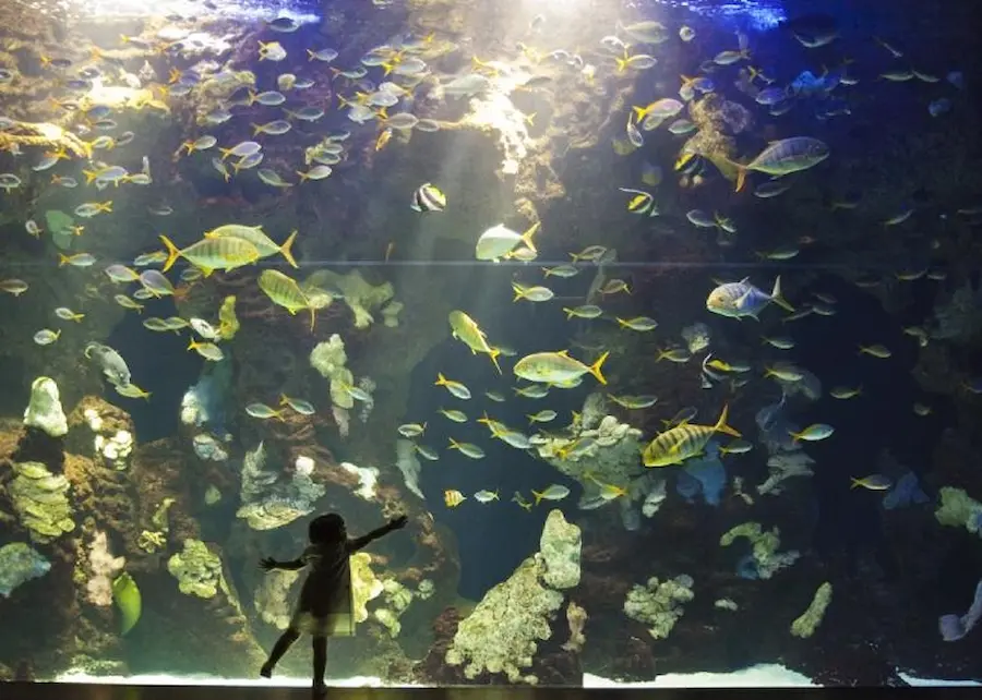 Aquarium de Donostia / San Sebastián