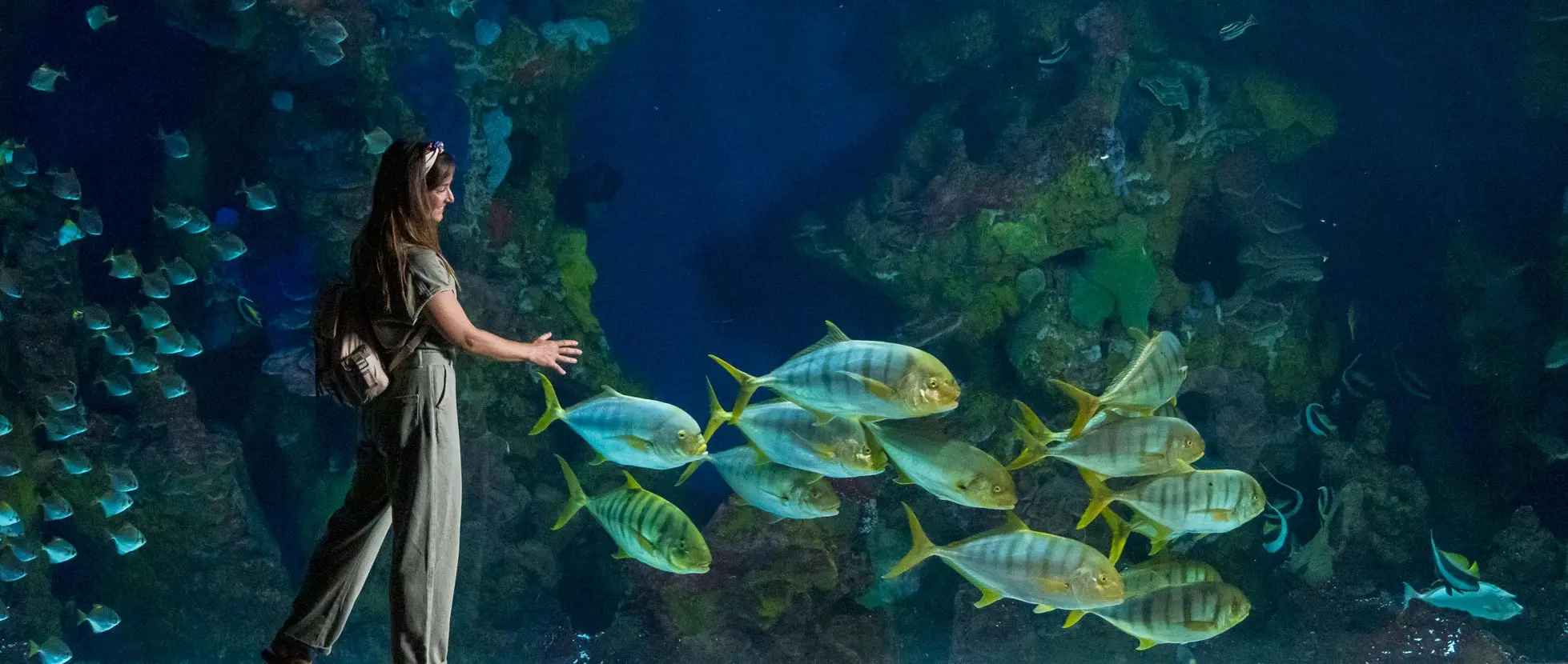 Aquarium de Donostia / San Sebastián