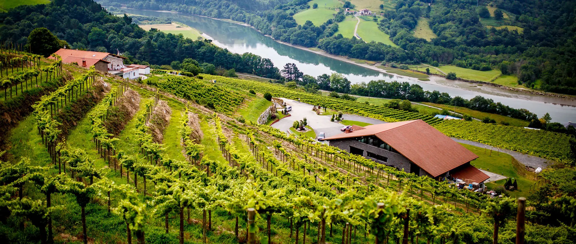 ¿No sabes lo que es una TXAKOLINDEGI?