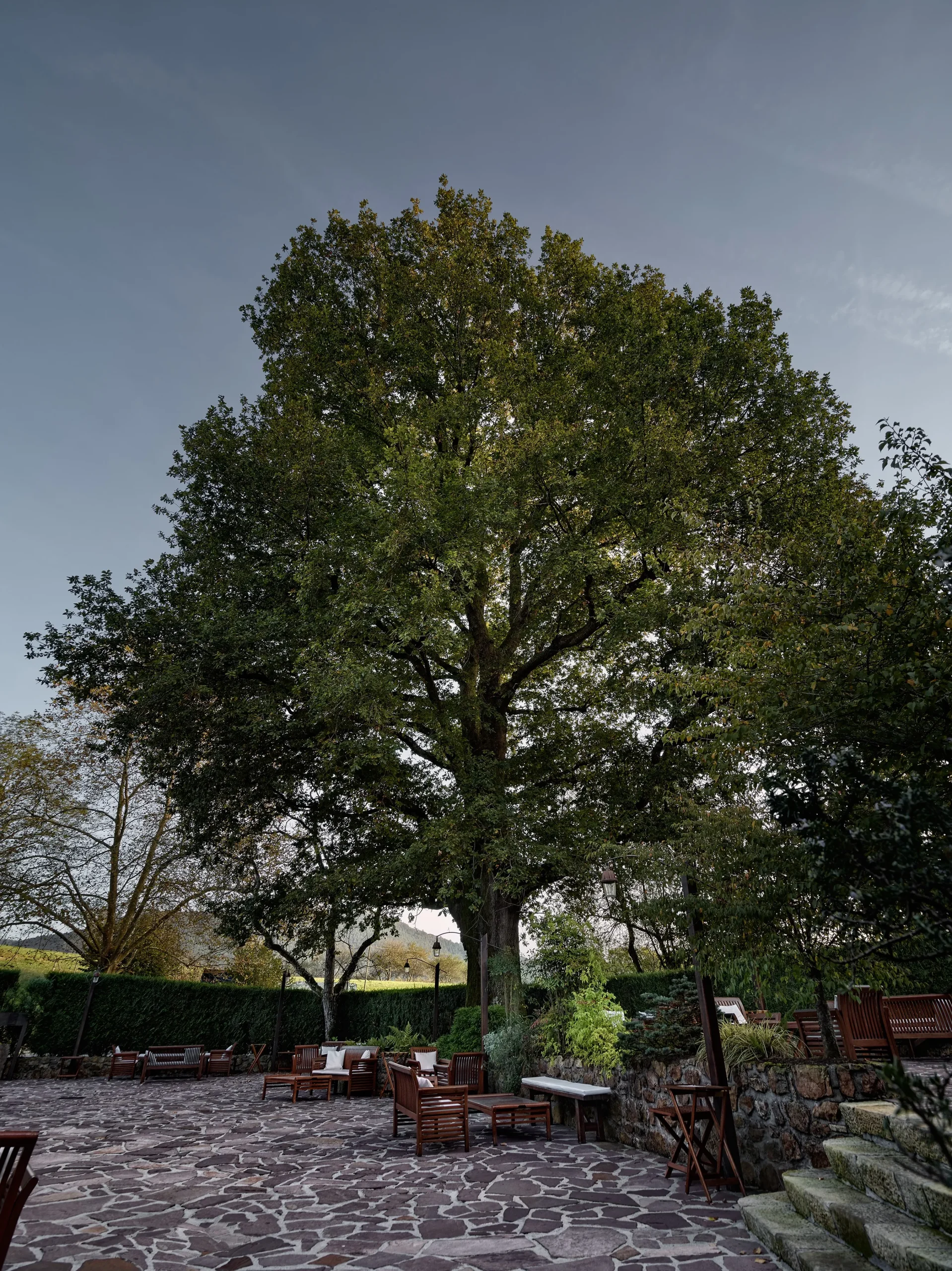 Restaurante Mugaritz